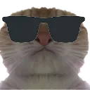 starecool starecool