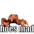 HLCrabsMad Discord emoji