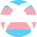 xboxpridetrans