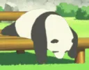 LazyPanda