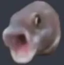 FishPOG