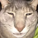 emoji_41 emoji_41