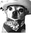 doggiehaw