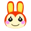bunnie