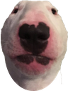 walter Discord emoji