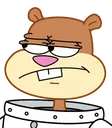annoyed