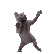 catDance3