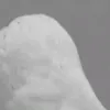 Shock