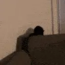 SCATTACK2