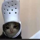 croccat