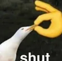 meb_text_shut