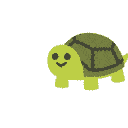 turtle_party Discord Emoji
