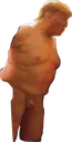 nakedTrump