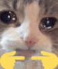 UWU Discord emoji