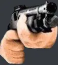 shomtgun