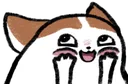 457657856