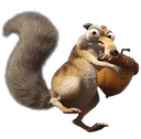 squirrel