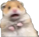 scare