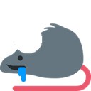 rat_brainlet