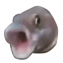 pogfish