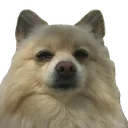 DissapointedLexi