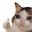 hahaok hahaok