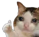 dimaspidarashihihi