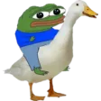 peepoduck