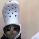 sadcrocat sadcrocat