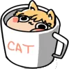 catcup