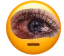 eye