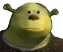bruh