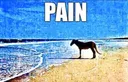 pain pain