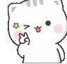kittywink