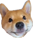 dogeSmile Discord emoji