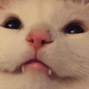 n_uwu Discord emoji