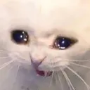nooooo