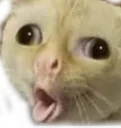 Heghhh