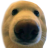 boop Discord emoji