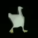 dukko_vibin dukko_vibin