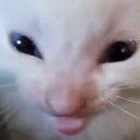 eeeeeeeeeeeee eeeeeeeeeeeee