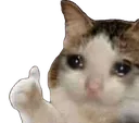 thumbsupsadcat