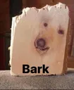 Bark