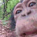 monkeylick