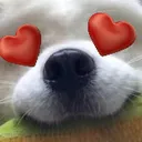 DogsOfDiscord_2_InLove DogsOfDiscord_2_InLove