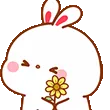 bunNo2 bunNo2