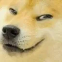 doge_smirk