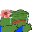 pepecrybaby