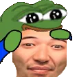 PogoM