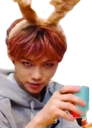 FelixTea